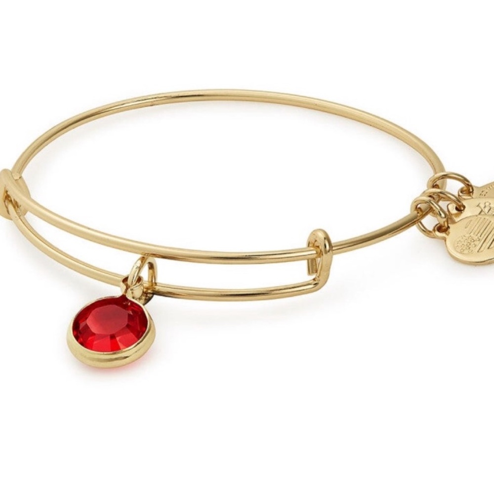NWOT Alex and Ani Ruby Birthstone Bracelet